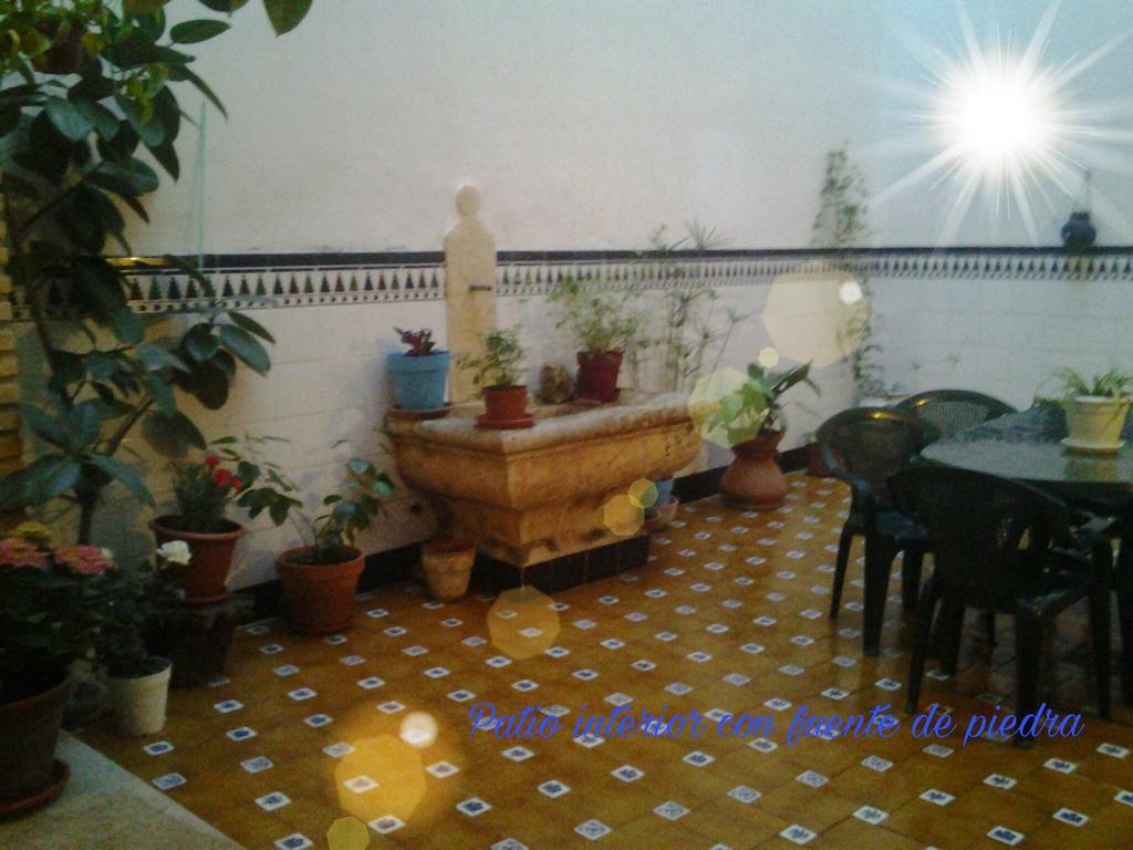 Casa Camino Al Castillo 卡迪瓦 外观 照片
